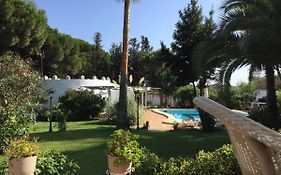 Finca Filpi